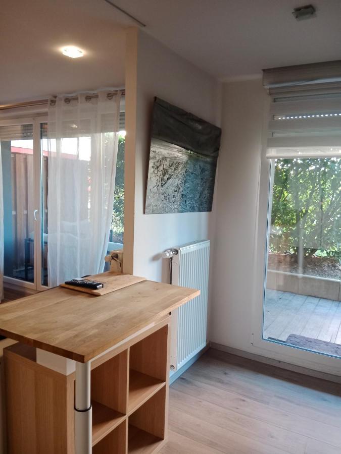 Tres Bel Appartement Rez De Jardin Appart De 53M2. Pfastatt Exteriér fotografie
